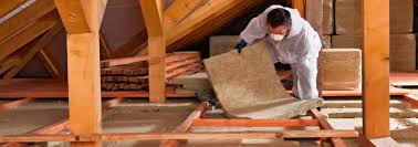 Best Crawl Space Insulation  in Steelevle, IL