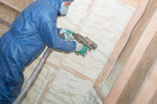 Best Radiant Barrier Insulation  in Steelevle, IL